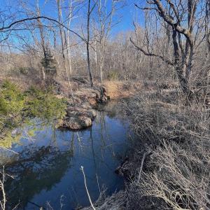 Photo #52 of Off of White House Road, Moneta, VA 17.2 acres