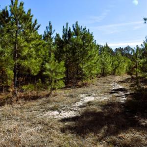 Photo #5 of Off  US 64 Bypass, Tarboro, NC 45.0 acres
