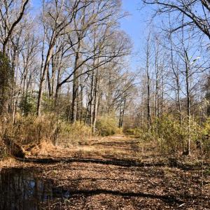 Photo #9 of Off  US 64 Bypass, Tarboro, NC 45.0 acres