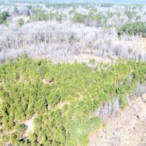 Photo #10 of Off  US 64 Bypass, Tarboro, NC 45.0 acres