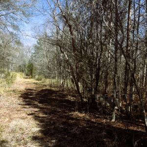 Photo #11 of Off  US 64 Bypass, Tarboro, NC 45.0 acres