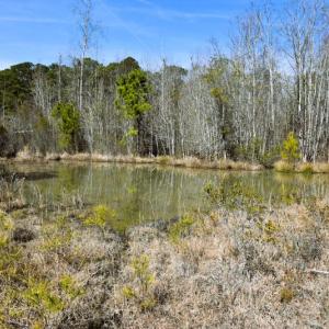 Photo #13 of Off  US 64 Bypass, Tarboro, NC 45.0 acres