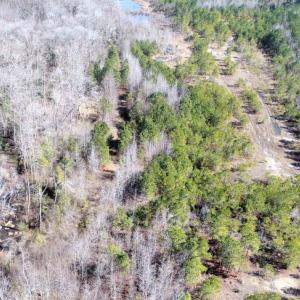 Photo #14 of Off  US 64 Bypass, Tarboro, NC 45.0 acres