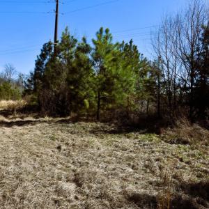 Photo #15 of Off  US 64 Bypass, Tarboro, NC 45.0 acres