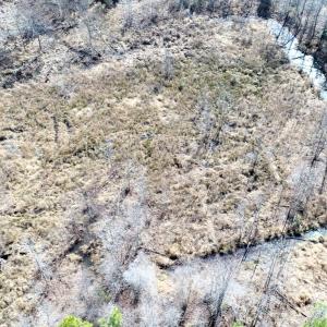 Photo #20 of Off  US 64 Bypass, Tarboro, NC 45.0 acres