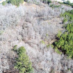 Photo #22 of Off  US 64 Bypass, Tarboro, NC 45.0 acres