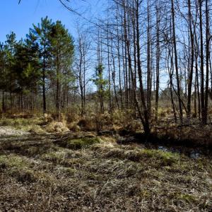 Photo #25 of Off  US 64 Bypass, Tarboro, NC 45.0 acres