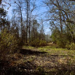 Photo #29 of Off  US 64 Bypass, Tarboro, NC 45.0 acres