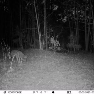 Photo #17 of Off  US 64 Bypass, Tarboro, NC 45.0 acres