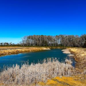 Photo #11 of Off of Saxis Rd, Temperanceville, VA 76.2 acres