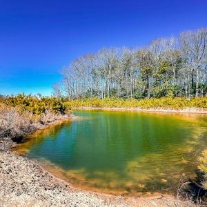 Photo #12 of Off of Saxis Rd, Temperanceville, VA 76.2 acres