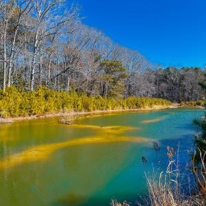 Photo #13 of Off of Saxis Rd, Temperanceville, VA 76.2 acres
