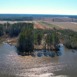 Photo #14 of Off of Saxis Rd, Temperanceville, VA 76.2 acres