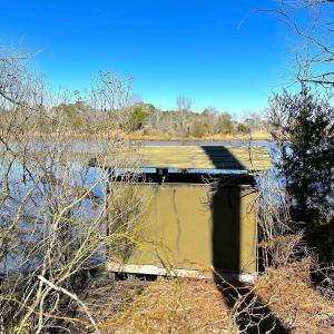Photo #15 of Off of Saxis Rd, Temperanceville, VA 76.2 acres