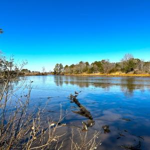 Photo #16 of Off of Saxis Rd, Temperanceville, VA 76.2 acres