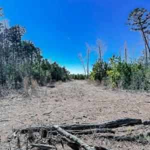 Photo #20 of Off of Saxis Rd, Temperanceville, VA 76.2 acres