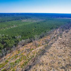 Photo #6 of Off of Saxis Rd, Temperanceville, VA 76.2 acres