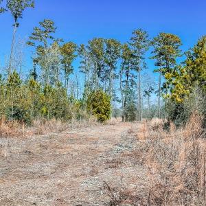 Photo #21 of Off of Saxis Rd, Temperanceville, VA 76.2 acres