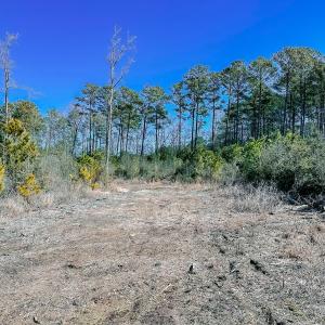 Photo #22 of Off of Saxis Rd, Temperanceville, VA 76.2 acres