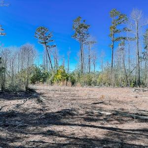 Photo #23 of Off of Saxis Rd, Temperanceville, VA 76.2 acres