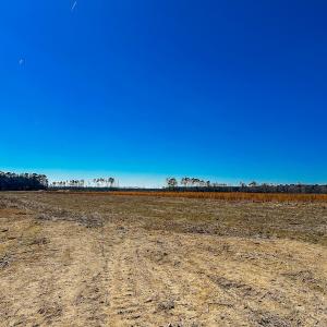 Photo #25 of Off of Saxis Rd, Temperanceville, VA 76.2 acres