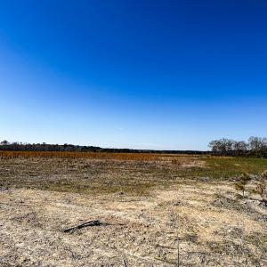 Photo #26 of Off of Saxis Rd, Temperanceville, VA 76.2 acres