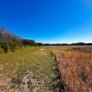 Photo #27 of Off of Saxis Rd, Temperanceville, VA 76.2 acres