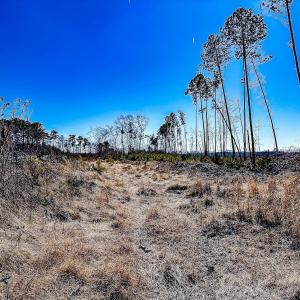 Photo #31 of Off of Saxis Rd, Temperanceville, VA 76.2 acres