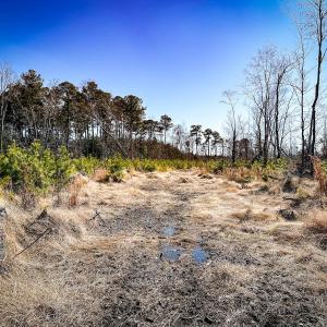 Photo #32 of Off of Saxis Rd, Temperanceville, VA 76.2 acres