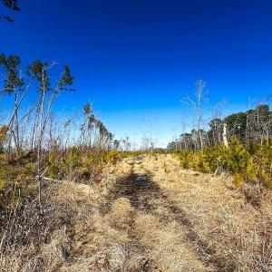 Photo #33 of Off of Saxis Rd, Temperanceville, VA 76.2 acres