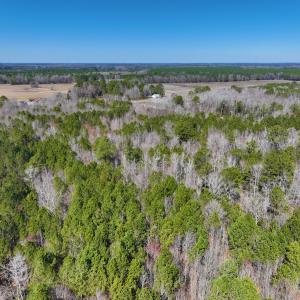 Photo #14 of Off Griffintown Road,  Woodland, NC 11.3 acres