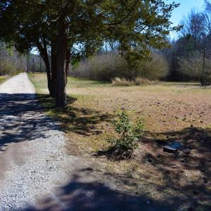Photo #15 of Off Griffintown Road,  Woodland, NC 11.3 acres