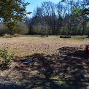 Photo #21 of Off Griffintown Road,  Woodland, NC 11.3 acres
