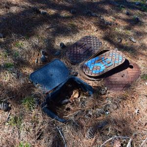 Photo #23 of Off Griffintown Road,  Woodland, NC 11.3 acres