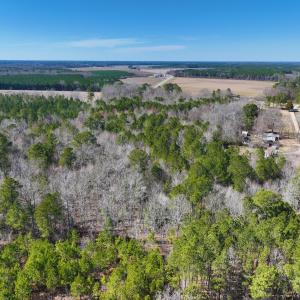 Photo #34 of Off Griffintown Road,  Woodland, NC 11.3 acres