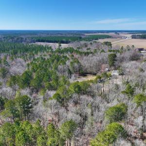 Photo #37 of Off Griffintown Road,  Woodland, NC 11.3 acres