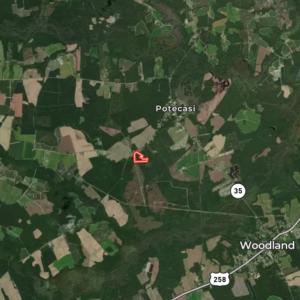 Photo #41 of Off Griffintown Road,  Woodland, NC 11.3 acres