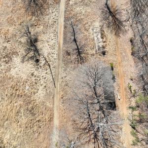 Photo #7 of Green Oak Lane, Patrick Springs, VA 4.7 acres