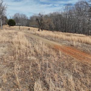 Photo #21 of Green Oak Lane, Patrick Springs, VA 4.7 acres
