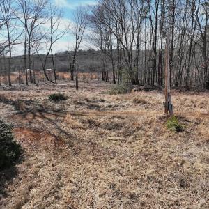 Photo #22 of Green Oak Lane, Patrick Springs, VA 4.7 acres