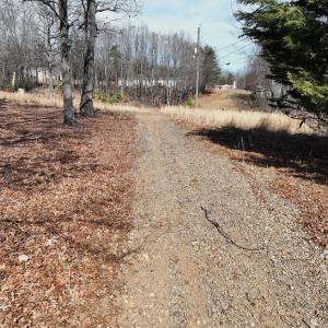 Photo #26 of Green Oak Lane, Patrick Springs, VA 4.7 acres