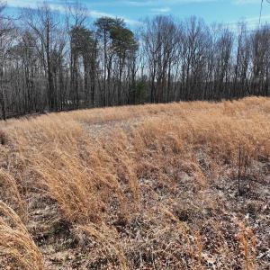 Photo #28 of Green Oak Lane, Patrick Springs, VA 4.7 acres