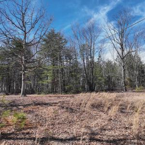 Photo #29 of Green Oak Lane, Patrick Springs, VA 4.7 acres
