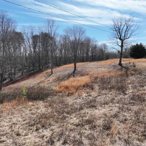 Photo #32 of Green Oak Lane, Patrick Springs, VA 4.7 acres