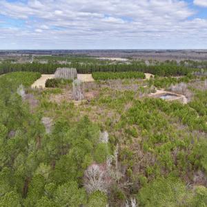 Photo #11 of 90000 Sheppard Mill Rd, Greenville, NC 254.0 acres