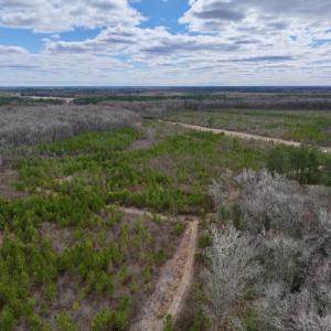 Photo #13 of 90000 Sheppard Mill Rd, Greenville, NC 254.0 acres