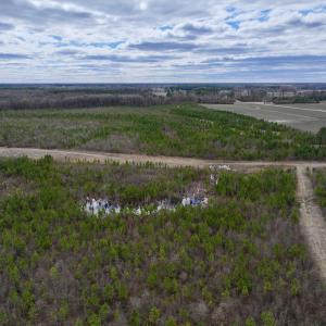 Photo #14 of 90000 Sheppard Mill Rd, Greenville, NC 254.0 acres