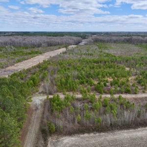 Photo #15 of 90000 Sheppard Mill Rd, Greenville, NC 254.0 acres
