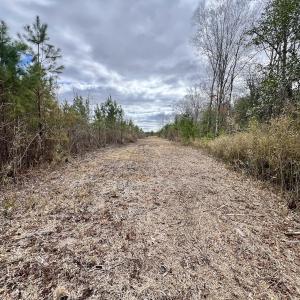 Photo #16 of 90000 Sheppard Mill Rd, Greenville, NC 254.0 acres