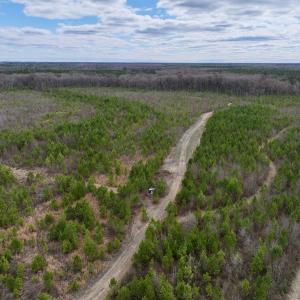 Photo #18 of 90000 Sheppard Mill Rd, Greenville, NC 254.0 acres
